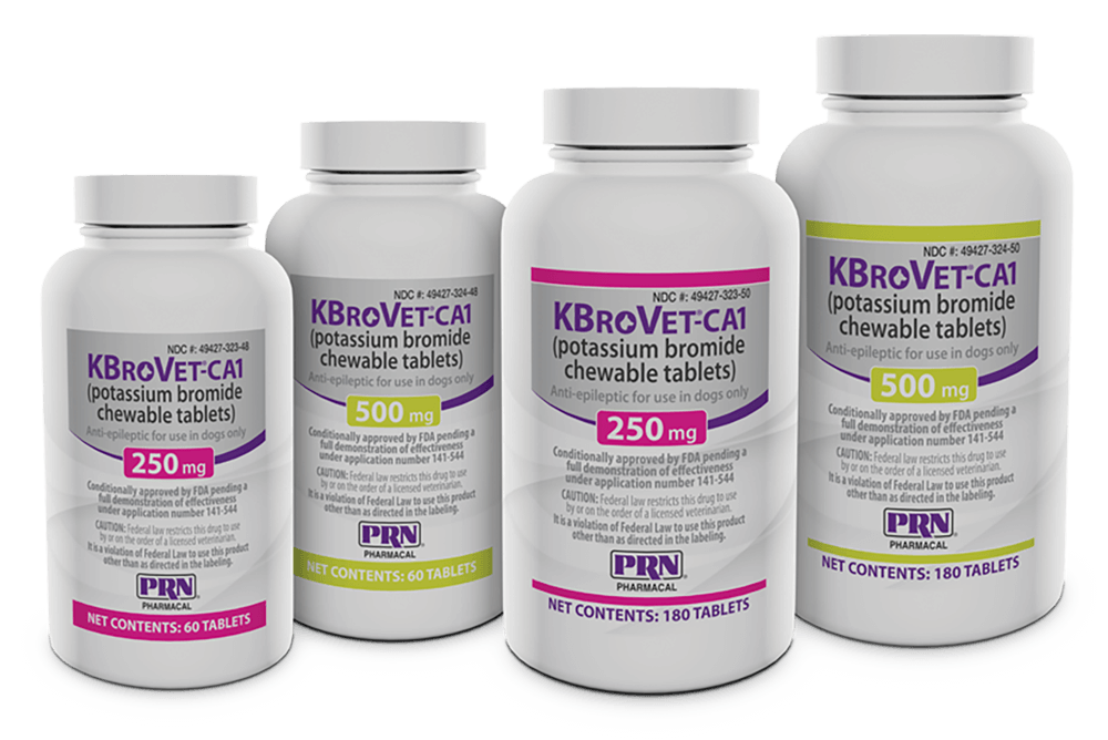 KBroVet_CA1_grp_resize